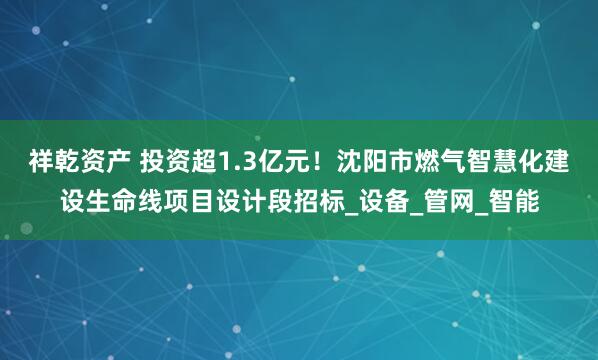 祥乾资产 投资超1.3亿元！沈阳市燃气智慧化建设生命线项目设计段招标_设备_管网_智能